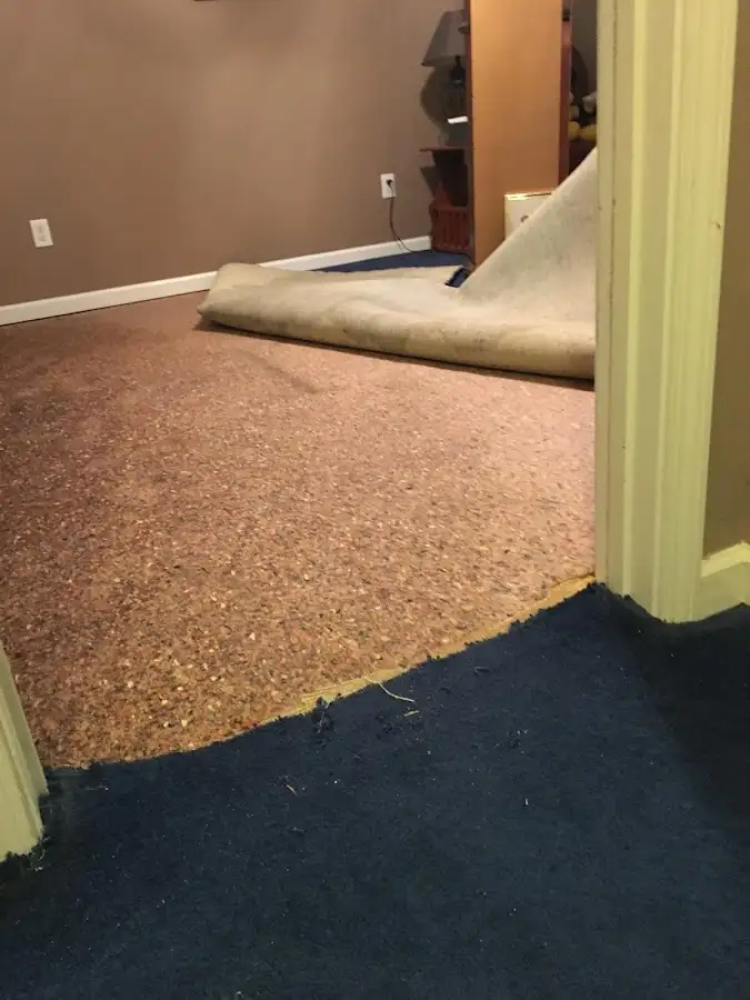 Carpet pad removal revealing water damage during Water Mitigation Services in Detroit