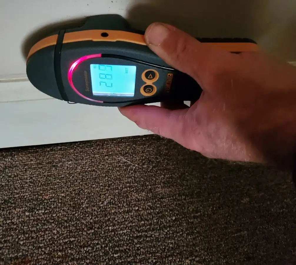 Moisture detection at baseboard during Mold Inspection & Testing in Detroit